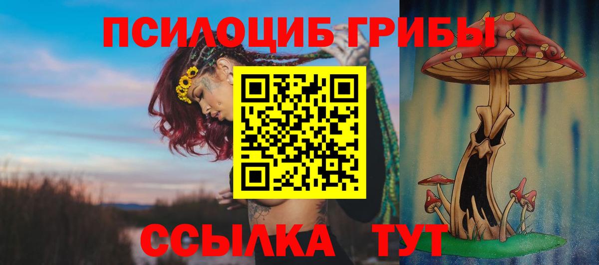 Псилоцибиновые грибы мицелий  Галлюциногенные грибы ЛСД  Вход с VPN  Анжеро-Судженск 